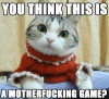 seriously-cat-is-serious-funny-pictures-quotes-pics-photos.png