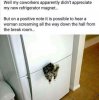 FB_IMG_1557271100036.jpg