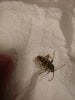 20190516_213728-1746x2328.jpg