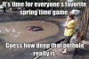 8de36f77de80df30cc49e2c58a2d551a--spring-time-funny-memes.jpg