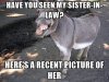 have-you-seen-my-sister-in-law-heres-a-recent-picture-of-her.jpg