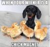 5654d540cb2879b6dbd78ff2b4faa0da.jpg