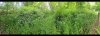 D7AF2239-F85A-4B12-985B-16597D1D47E2.jpeg