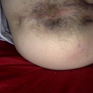 gayscatslut