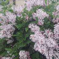 GardenersinLove