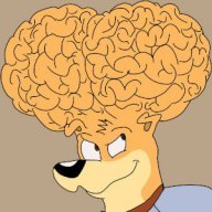 BigBrains
