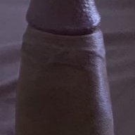 CuriousJerkBuddyRP