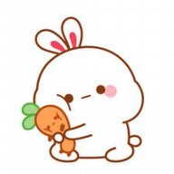 IndianBunny