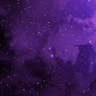 Rose_123