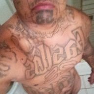 Youngnhorny55