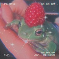 Bestfroggo