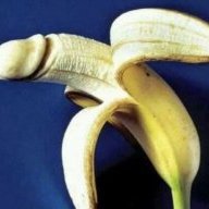 Bananaman4819