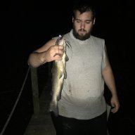 Bigbuck6919
