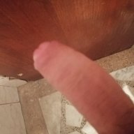 DL_xxl