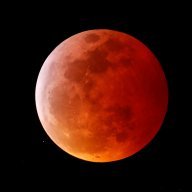 Moonlit