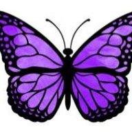 butterfly_trans_fem