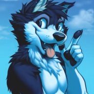 Huskyboystormy