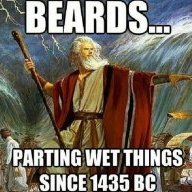 Beardedntatted