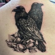 Celticbear912