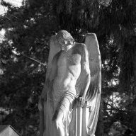 transguy_angel