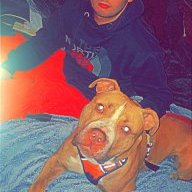 Dboii
