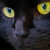 IkoTheBlackCat