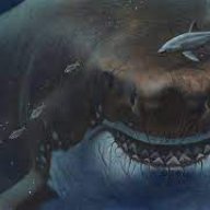 Megalodon