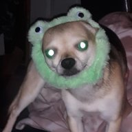 Geckitoz