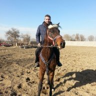 mostafamard