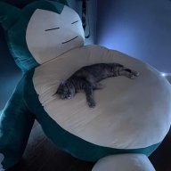 Chazoo
