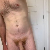 Pd44