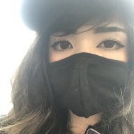 ArtistDoll