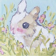 Babybunnyyyy