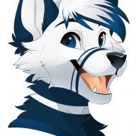 Toasty_Koda