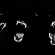 CatGhoul