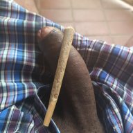 StonedFitBBC