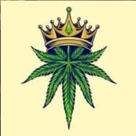 Smoke29