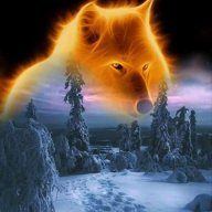 Gingerfire