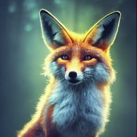FoxyWoxy