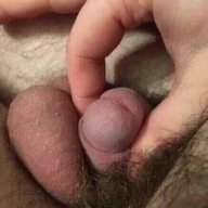 bigd1inch