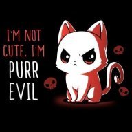 TheKittyKat