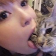 katsrkewl