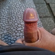 Perv10000