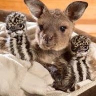 Skippy70