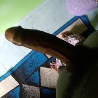 gennaisking3
