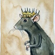 DaRatKing