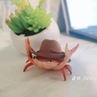 Raineedrop