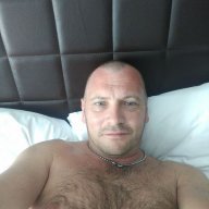 P41