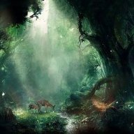 Moonlight_Rivers
