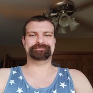 Webby31